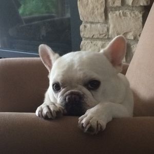 Meet your Posher, Scott